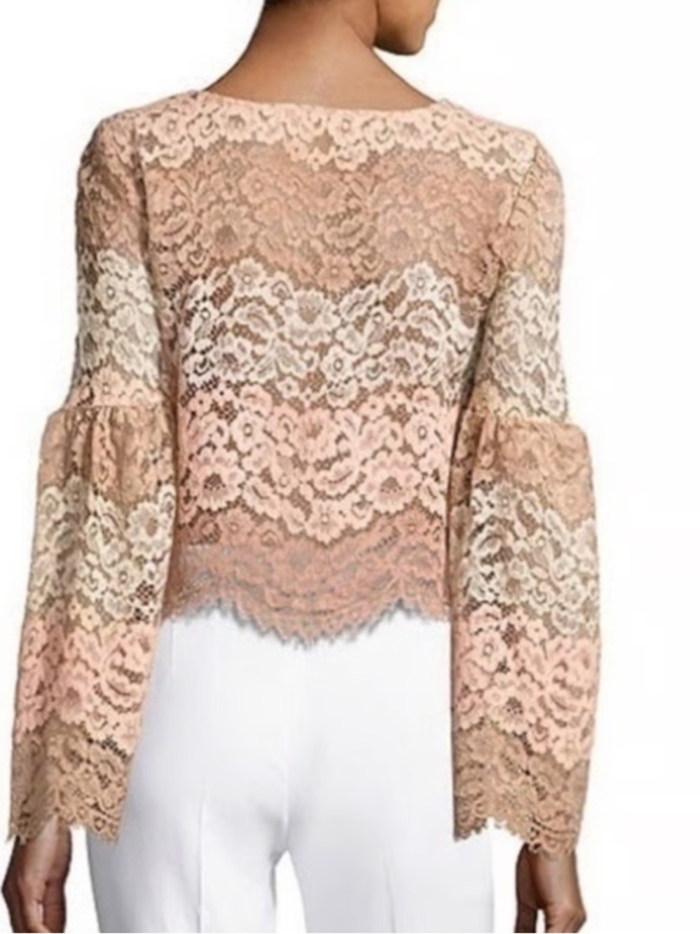 WAYF Sheer Lace Bell-Sleeve Top in Blush Pink andTan Coquette festival top S